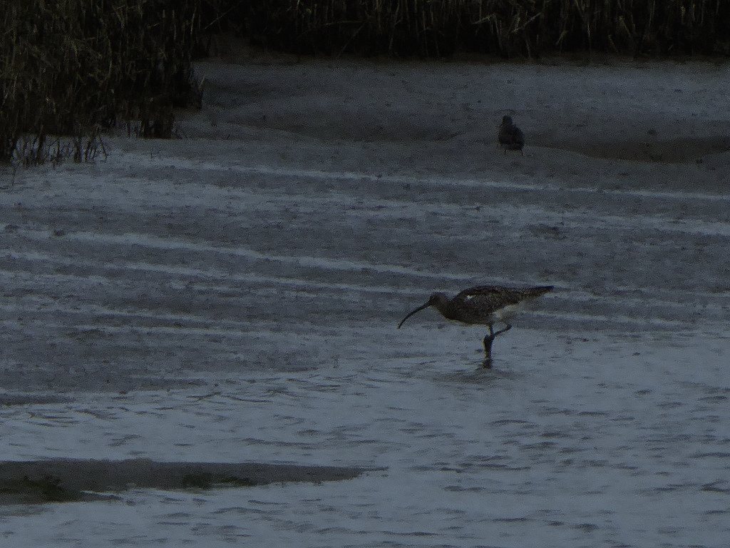 Set on the silt flats near the Wash in eastern England, chosen because its accreting, tide-governed mudbanks genuinely shift measurably between visits, giving a bureaucratic excuse for characters to keep returning to ground that is quietly rearranging itself.