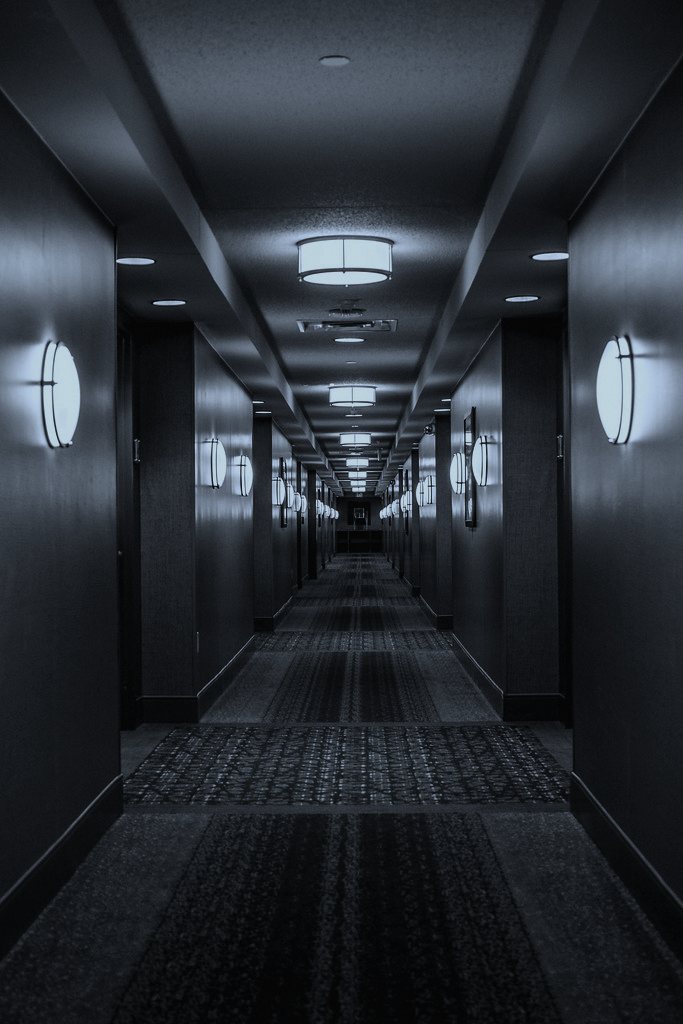 Set in a mid-range Edinburgh chain hotel on Leith Walk, because that stretch is full of exactly this kind of anonymous, slightly-too-long building where nobody would notice an extra door.